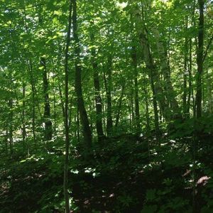 Meet your Posher, Tamara